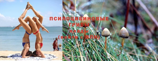 a pvp Верхний Тагил