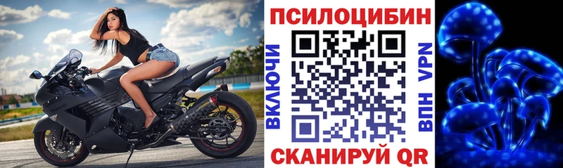 Галлюциногенные грибы Psilocybe  магазин продажи   Горбатов 
